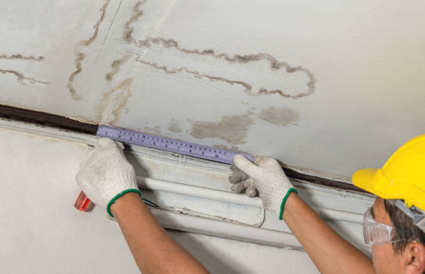 Reliable Burst Pipe Cleanup contractor in Bennington, NE by Water Damage Irwin